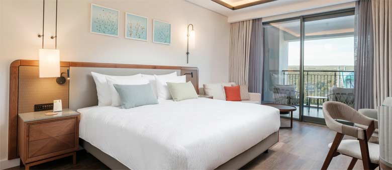Deluxe Adventure Park View Family Suite