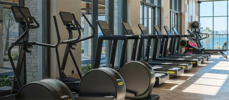Spa Wellness and Fitness