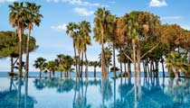 A large still blue outdoor swimming pool with a line of trees and the beach and sea behind