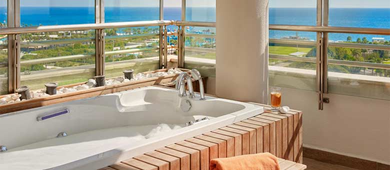 Deluxe Family Swim-Up Suite