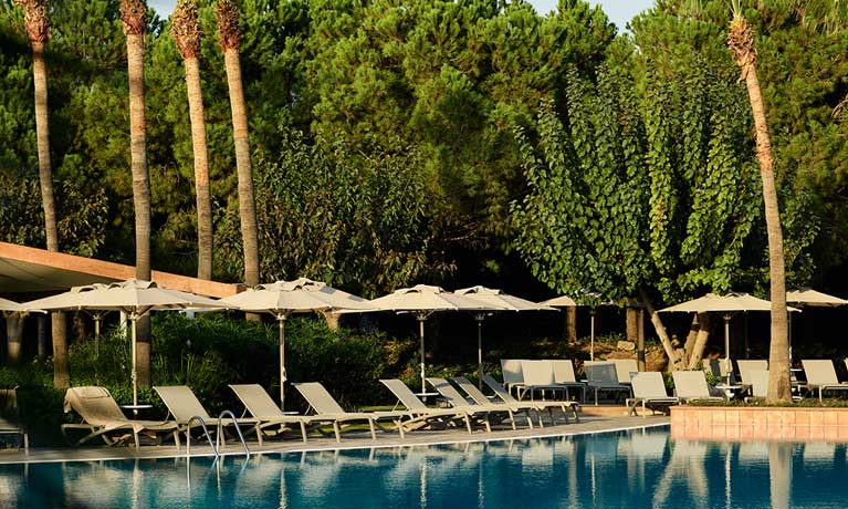 Sun loungers are lined up around a calm blue swimming pool with tall trees offering welcome shade behind