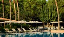Sun loungers are lined up around a calm blue swimming pool with tall trees offering welcome shade behind