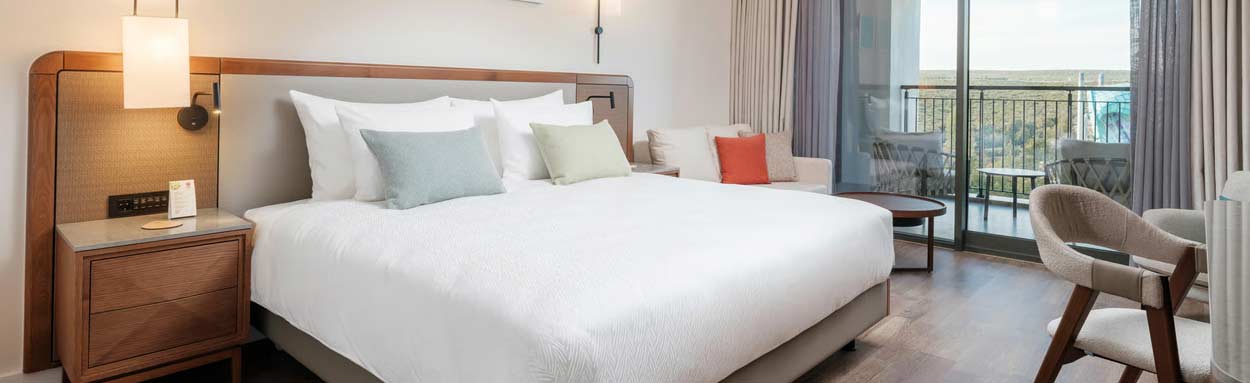 Deluxe Adventure Park View Family Suite